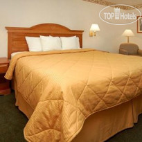 Comfort Inn & Suites Ann Arbor