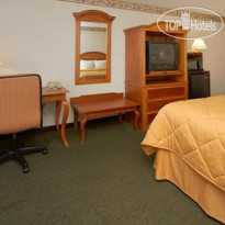 Comfort Inn & Suites Ann Arbor