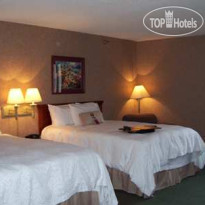 Hampton Inn Detroit Belleville-Airport Area 