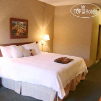 Hampton Inn Detroit Belleville-Airport Area 