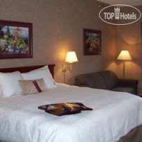 Hampton Inn Detroit Belleville-Airport Area 