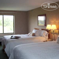 Hampton Inn Detroit Belleville-Airport Area 