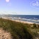 Hampton Inn Muskegon 