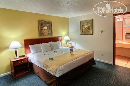 New photos from tourists Best Western Four Seasons 2*