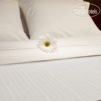 Holiday Inn Express Romulus-Detroit Airport 