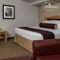 Cherry Tree Inn & Suites 