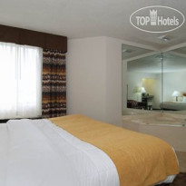 Comfort Inn Birch Run 
