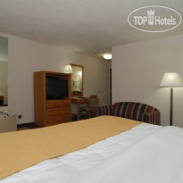 Comfort Inn Birch Run 