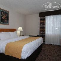 Comfort Inn Birch Run 