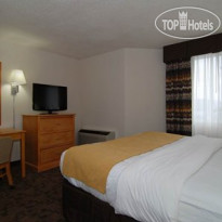 Comfort Inn Birch Run 