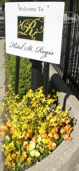 New photos from tourists St. Regis 3*