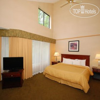 Comfort Suites South Burlington VT 