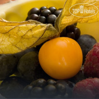 Stowe Mountain Lodge 