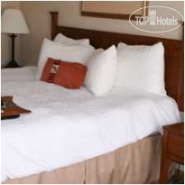 Hampton Inn Bloomsburg 