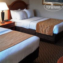 Comfort Inn & Suites Pittsburgh 