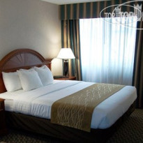 Comfort Inn & Suites Pittsburgh 