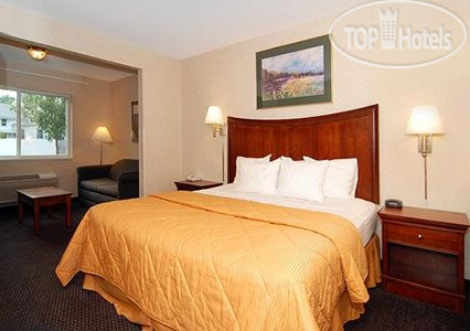 New photos from tourists Comfort Inn Bradford 2*