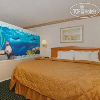 Comfort Inn & Suites Erie