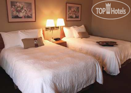 New photos from tourists Hampton Inn Altoona 2*