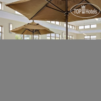 Best Western Plus University Park Inn & Suites