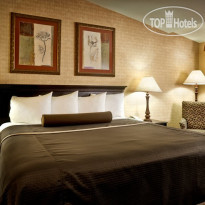 Best Western Plus The Inn at King Of Prussia 