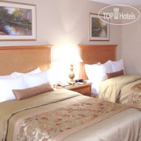 Best Western Motor Inn