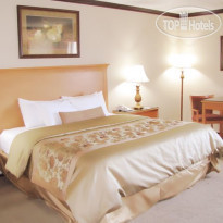 Best Western Motor Inn