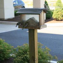 Hampton Inn Lewisburg 