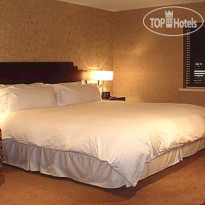 The Woodlands Inn, an Ascend Hotel Collection Member 