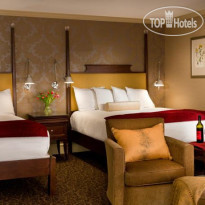 Chestnut Hill Hotel Номер