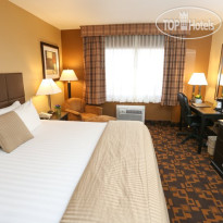 Best Western Plus Denver 