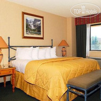 Comfort Inn Near Vail Beaver Creek 