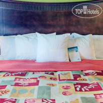 Homewood Suites by Hilton Fort Collins 