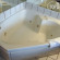 Quality Inn Denver-Boulder Turnpike 