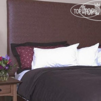 The Golden Hotel, an Ascend Hotel Collection Member