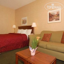 Comfort Inn Brighton 
