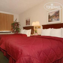 Comfort Inn Brighton 