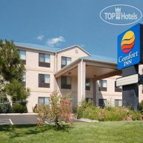 Comfort Inn Brighton 