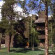 Forest Condominiums 