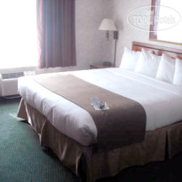 Best Western Executive Inn & Suites 