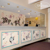 Best Western Turquoise Inn & Suites 