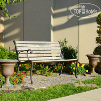 Best Western Plus Atrea Airport Inn & Suites