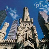 Millennium Knickerbocker 