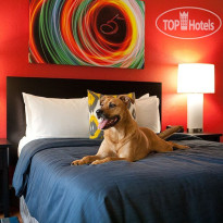 Five Hotel Seattle