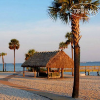 Charleston Harbor Resort And Marina Пляжный бар