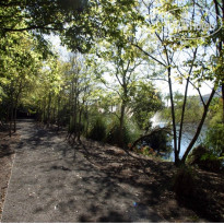 Charleston Harbor Resort And Marina Природа