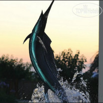 Charleston Harbor Resort And Marina Рыба-меч