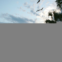 Charleston Harbor Resort And Marina Свадьба