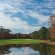 Kingston Plantation Condos 