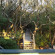 The Pelican Inn 